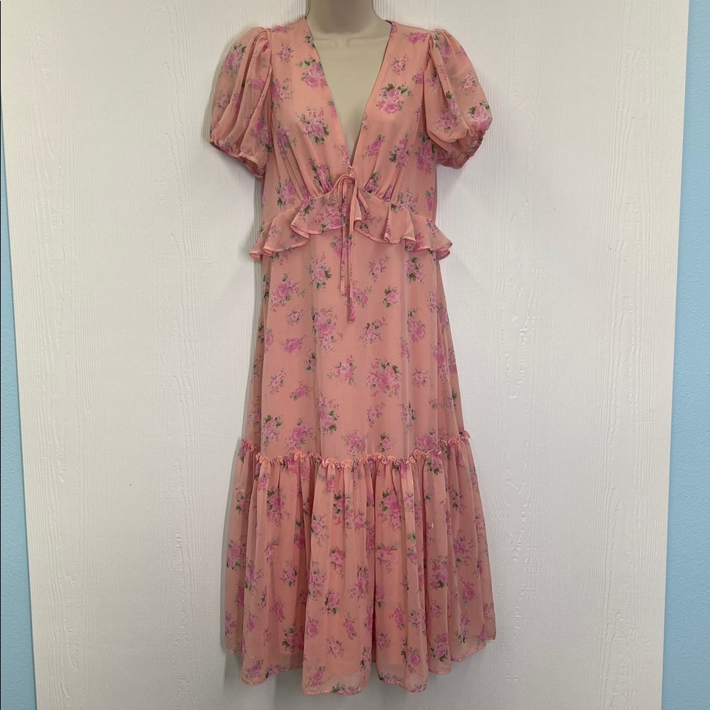 LoveShackFactory X Target - Fleur Chiffon Pink Floral Lined Maxi Dress Size 8 - Picture 2 of 12